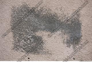 Photo Texture of Wall Plaster 0002